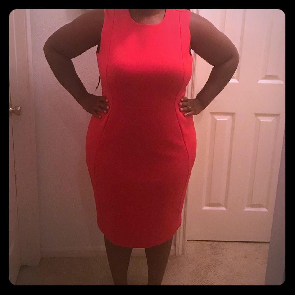Calvin Klein Hot Pink Shift Dress (18w)
